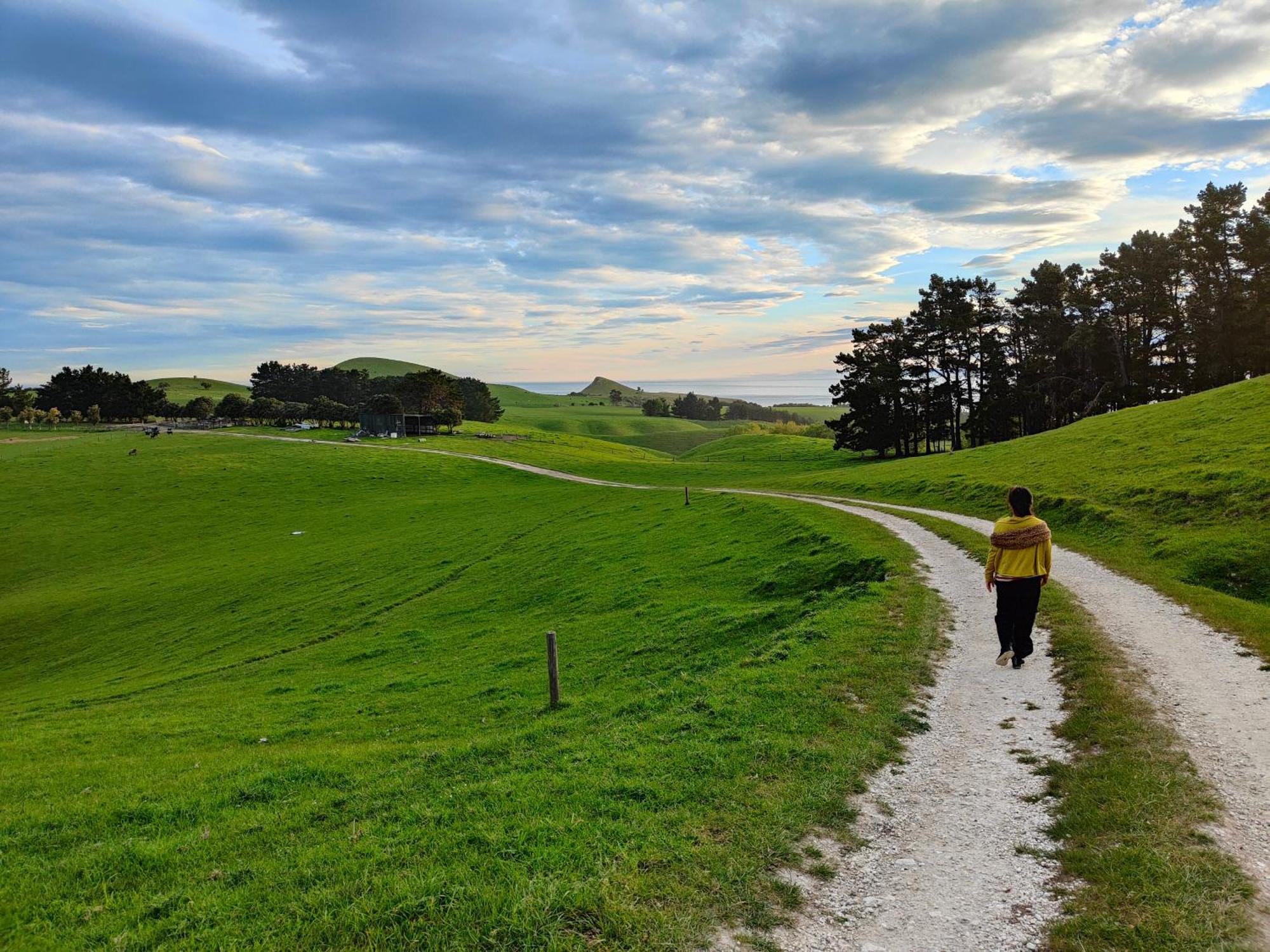 فيلا Kaikoura Peninsula Retreat المظهر الخارجي الصورة